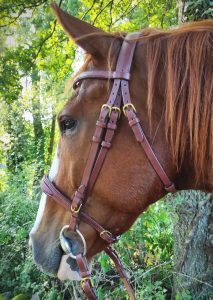 Bridon, bride, filet pour cheval, en cuir tannage végétal, bouclerie laiton massif.Fabrication française artisanale en Haute-Loire. Puy-en-Velay, Malrevers
