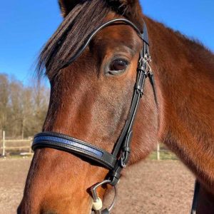 Bridon ergonomique sur mesure