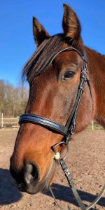 Bridon ergonomique sur mesure