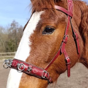 Caveçon pour cheval, idéal pour le travail à pied ou la longe.