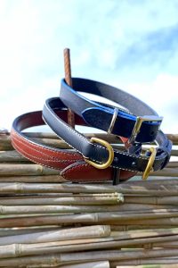 Exemples de colliers pour chien