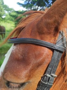 Frontal en cuir sur-mesure doublé veau.