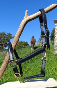 licol-cheval-noir-bombé-fleur-de-cuir-sellier-harnacheur