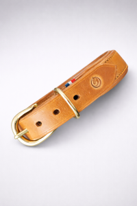 Collier pour chien