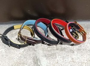 Colliers pour chien
