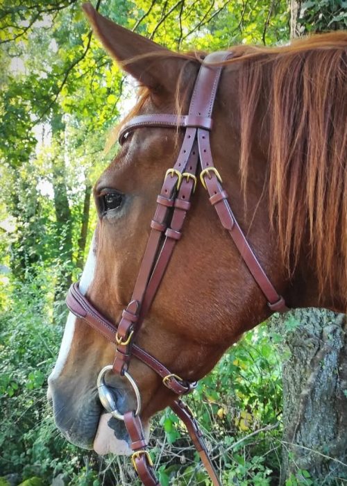 Bridon, bride, filet pour cheval, en cuir tannage végétal, bouclerie laiton massif.Fabrication française artisanale en Haute-Loire. Puy-en-Velay, Malrevers