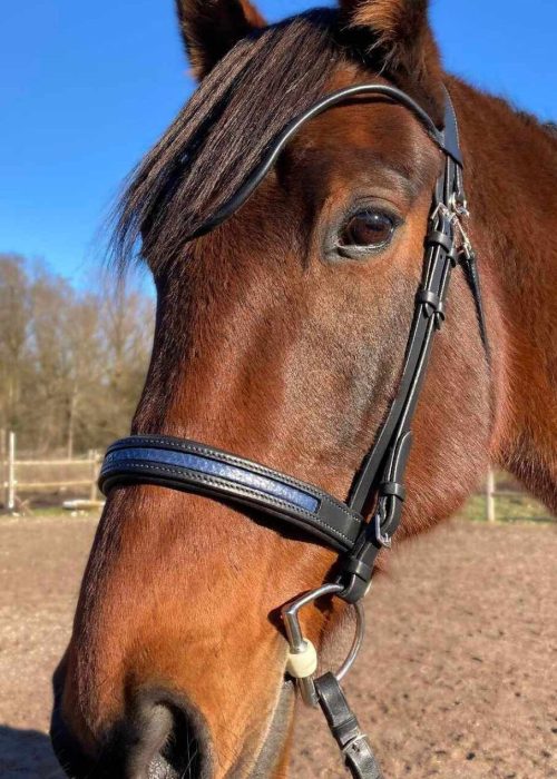 Bridon ergonomique sur mesure