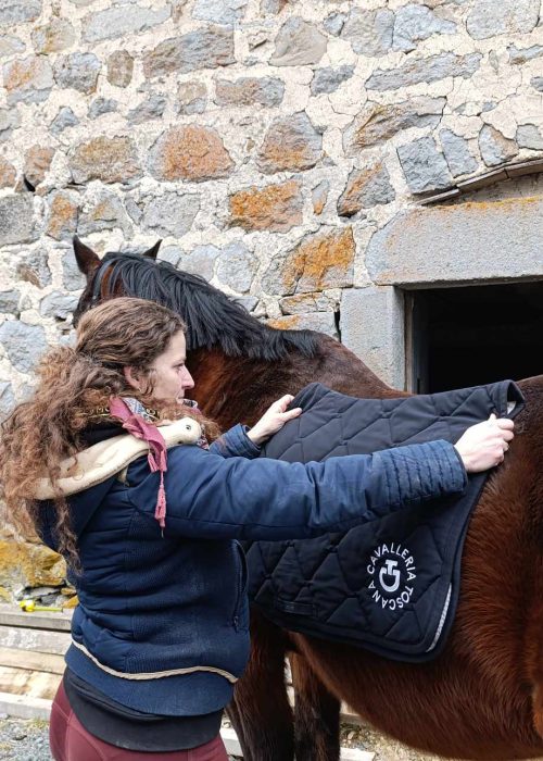 ergonomie-equestre-tapis-de-selle-sur-mesure-.jpg